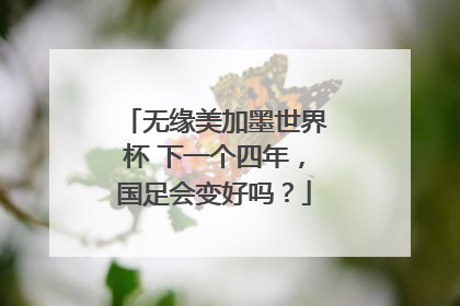 无缘美加墨世界杯 下一个四年，国足会变好吗？