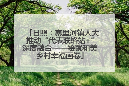日照：寨里河镇人大推动“代表联络站+”深度融合——绘就和美乡村幸福画卷