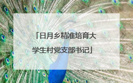 日月乡精准培育大学生村党支部书记
