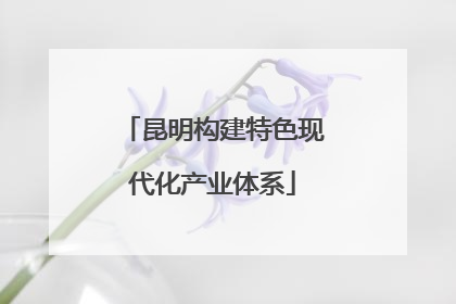 昆明构建特色现代化产业体系