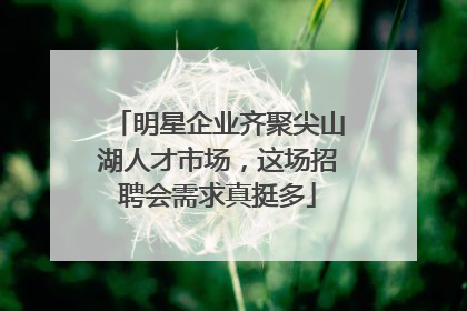 明星企业齐聚尖山湖人才市场，这场招聘会需求真挺多