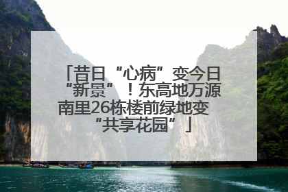 昔日“心病”变今日“新景”！东高地万源南里26栋楼前绿地变“共享花园”