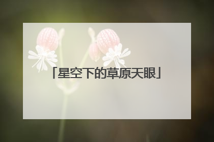星空下的草原天眼