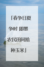 春争日夏争时 即墨农民田间抢种玉米