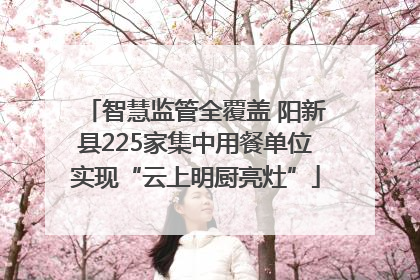 智慧监管全覆盖 阳新县225家集中用餐单位实现“云上明厨亮灶”