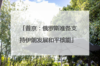 普京：俄罗斯准备支持伊朗发展和平核能