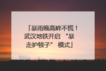 暴雨晚高峰不慌！武汉地铁开启 “暴走护犊子” 模式