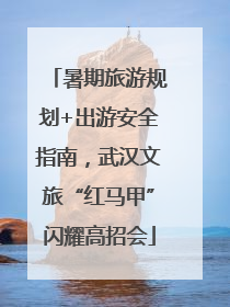 暑期旅游规划+出游安全指南，武汉文旅“红马甲”闪耀高招会
