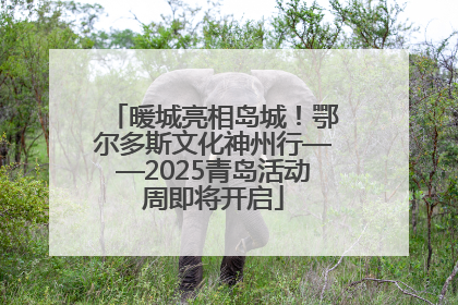 暖城亮相岛城！鄂尔多斯文化神州行——2025青岛活动周即将开启