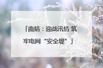 曲靖：迎战汛情 筑牢电网“安全堤”