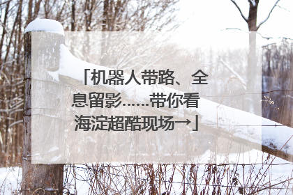 机器人带路、全息留影……带你看海淀超酷现场→