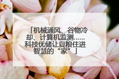 机械通风、谷物冷却、计算机监测……科技优储让夏粮住进智慧的“家”