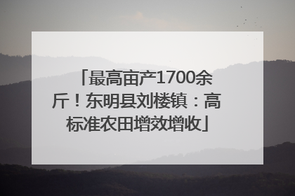 最高亩产1700余斤！东明县刘楼镇：高标准农田增效增收