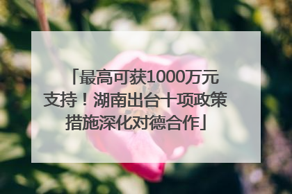 最高可获1000万元支持！湖南出台十项政策措施深化对德合作