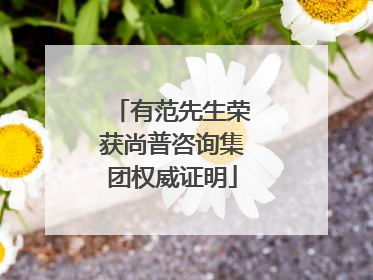 有范先生荣获尚普咨询集团权威证明