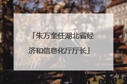 朱万奎任湖北省经济和信息化厅厅长