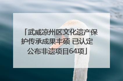 武威凉州区文化遗产保护传承成果丰硕 已认定公布非遗项目64项