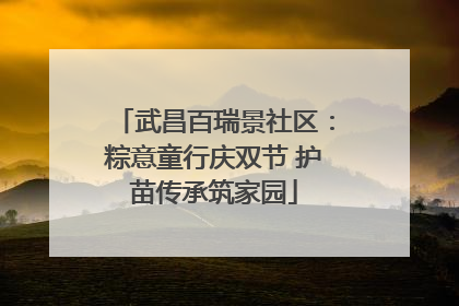 武昌百瑞景社区：粽意童行庆双节 护苗传承筑家园
