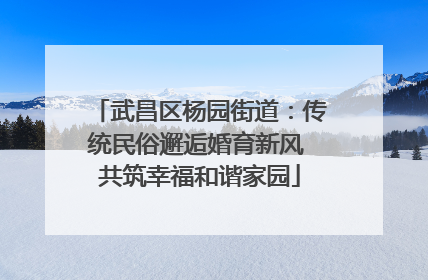 武昌区杨园街道：传统民俗邂逅婚育新风 共筑幸福和谐家园