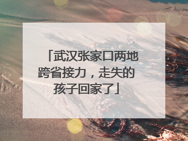 武汉张家口两地跨省接力，走失的孩子回家了