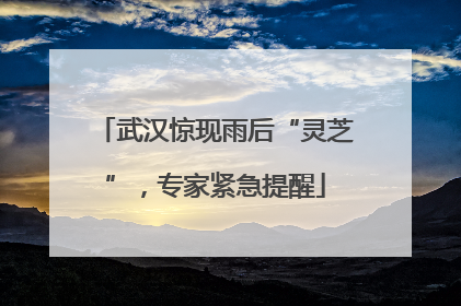 武汉惊现雨后“灵芝”，专家紧急提醒