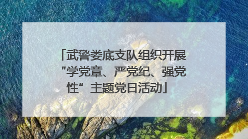 武警娄底支队组织开展“学党章、严党纪、强党性”主题党日活动