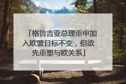格鲁吉亚总理重申加入欧盟目标不变,但欲先重塑与欧关系
