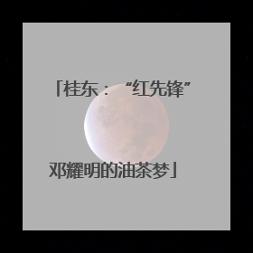 桂东：“红先锋”邓耀明的油茶梦