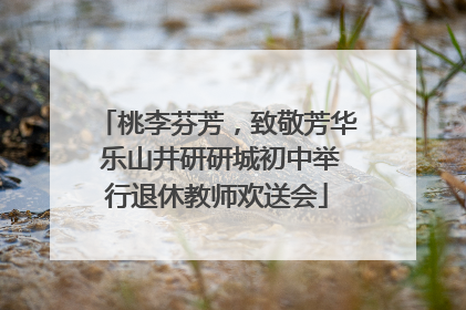 桃李芬芳，致敬芳华 乐山井研研城初中举行退休教师欢送会