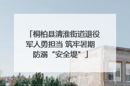 桐柏县清淮街道退役军人勇担当 筑牢暑期防溺“安全堤”