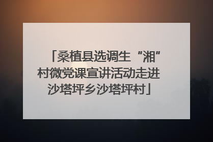 桑植县选调生“湘”村微党课宣讲活动走进沙塔坪乡沙塔坪村
