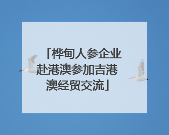 桦甸人参企业赴港澳参加吉港澳经贸交流
