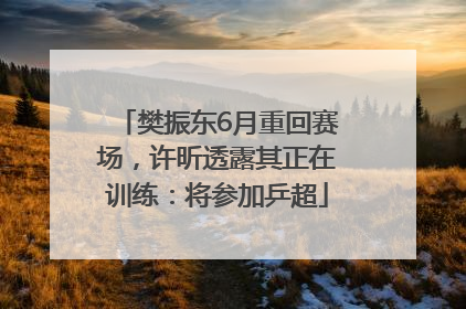 樊振东6月重回赛场，许昕透露其正在训练：将参加乒超