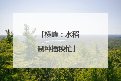 横峰：水稻制种插秧忙