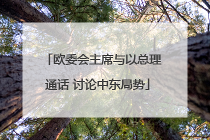 欧委会主席与以总理通话 讨论中东局势