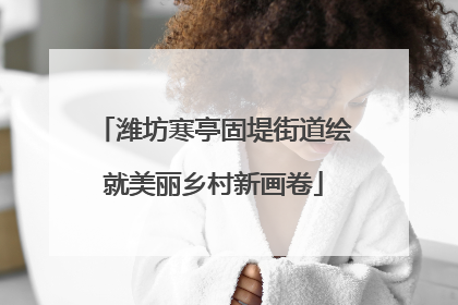 潍坊寒亭固堤街道绘就美丽乡村新画卷