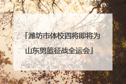 潍坊市体校四将即将为山东男篮征战全运会