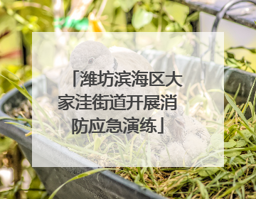 潍坊滨海区大家洼街道开展消防应急演练
