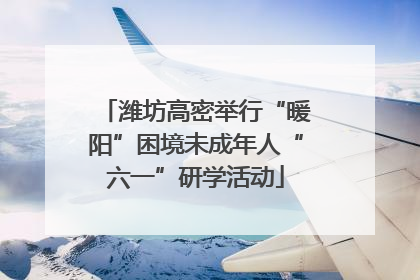 潍坊高密举行“暖阳”困境未成年人“六一”研学活动