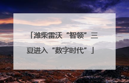潍柴雷沃“智领”三夏进入“数字时代”