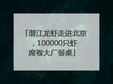潜江龙虾走进北京，100000只虾席卷大厂餐桌