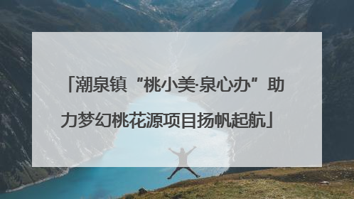 潮泉镇“桃小美·泉心办”助力梦幻桃花源项目扬帆起航