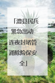 澧县民兵紧急出动 连夜封堵管涌除险保安全