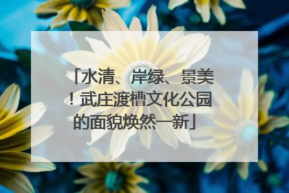 水清、岸绿、景美！武庄渡槽文化公园的面貌焕然一新