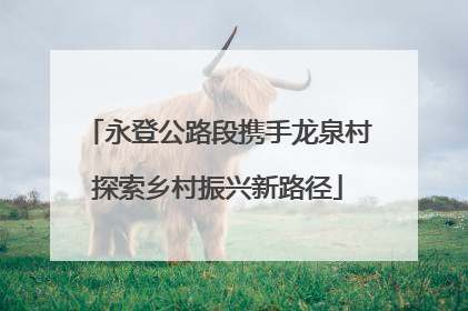 永登公路段携手龙泉村探索乡村振兴新路径