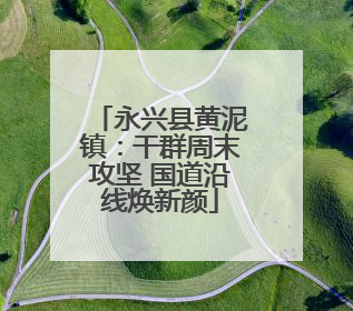 永兴县黄泥镇:干群周末攻坚 国道沿线焕新颜