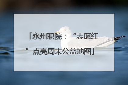 永州职院：“志愿红”点亮周末公益地图