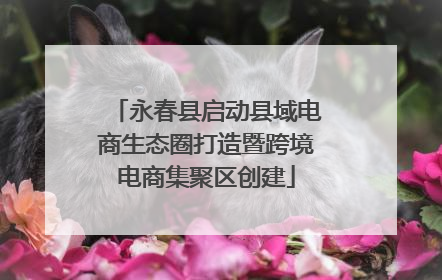永春县启动县域电商生态圈打造暨跨境电商集聚区创建