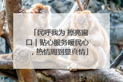 民呼我为 擦亮窗口｜贴心服务暖民心，热情周到显真情