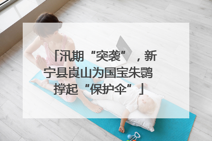 汛期“突袭”，新宁县崀山为国宝朱鹮撑起“保护伞”
